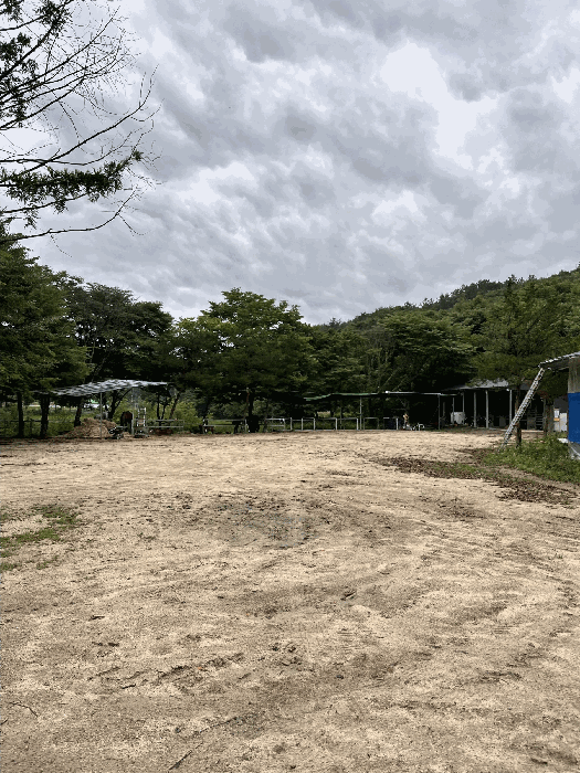 물건 사진 148
