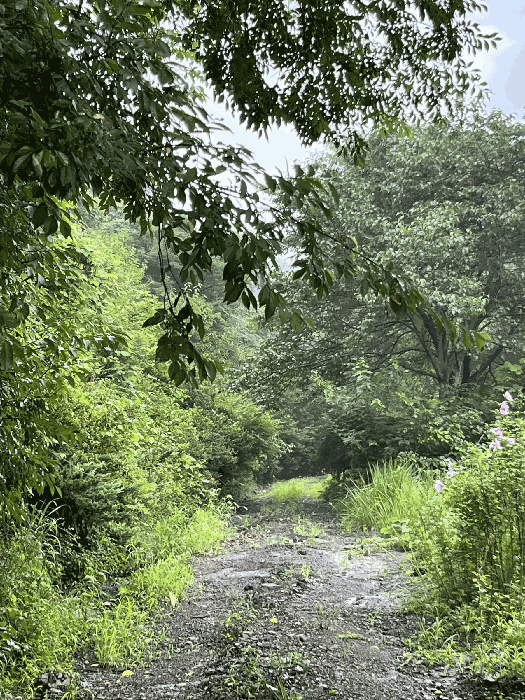 물건 사진 154