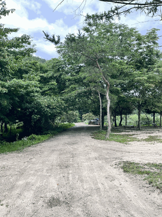 물건 사진 161