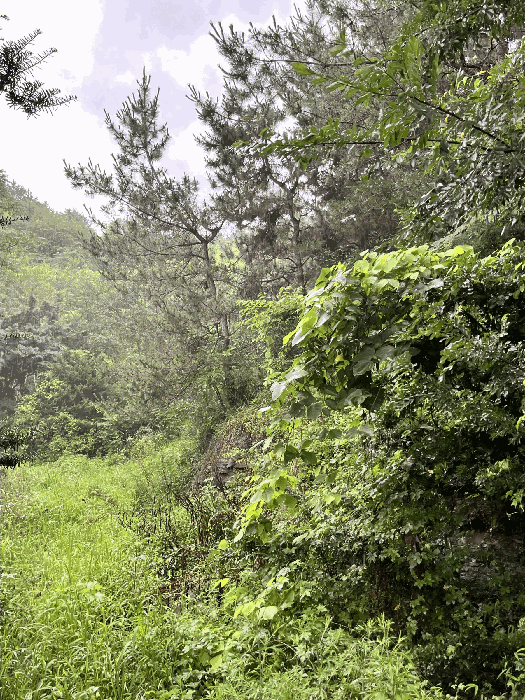 물건 사진 165
