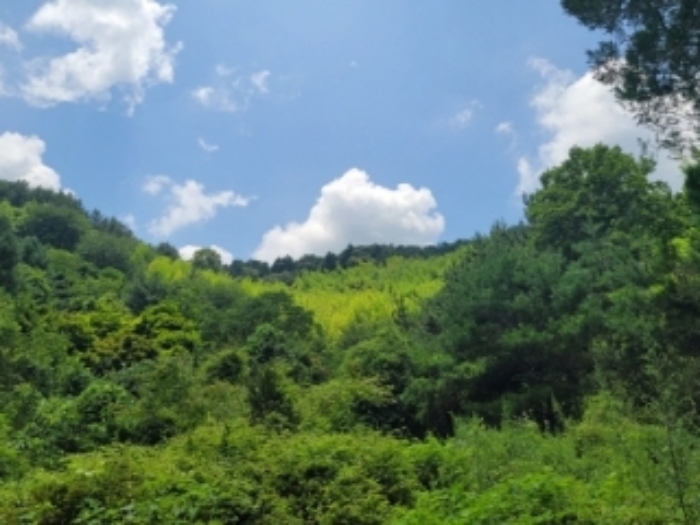 물건 사진 34