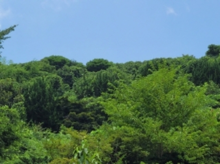 물건 사진 36
