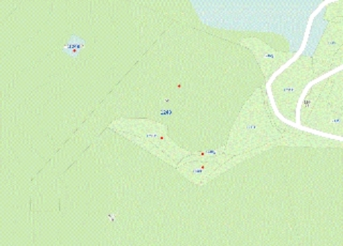 물건 사진 50