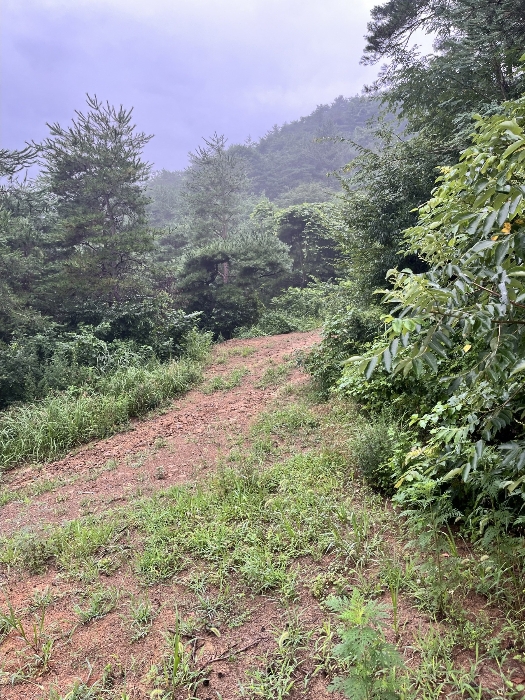 물건 사진 78