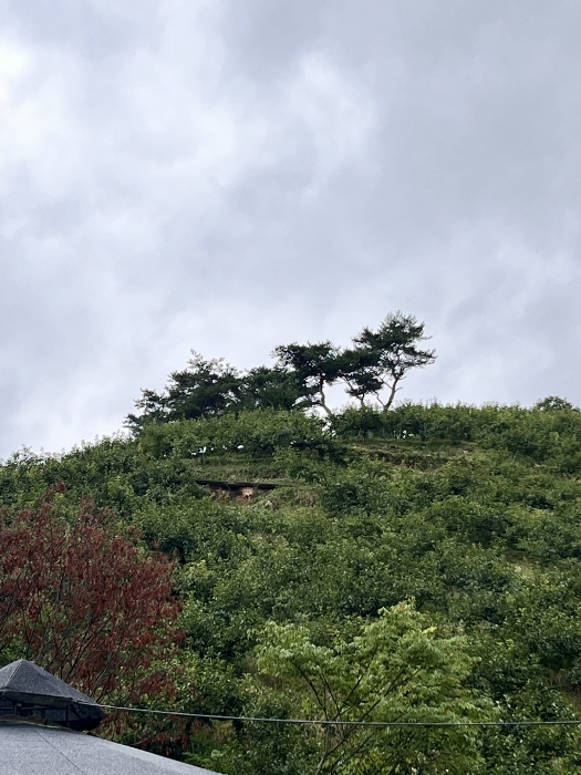 물건 사진 84