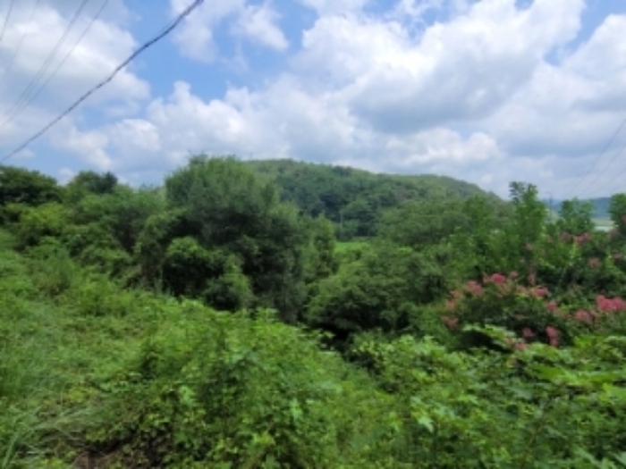 물건 사진 10