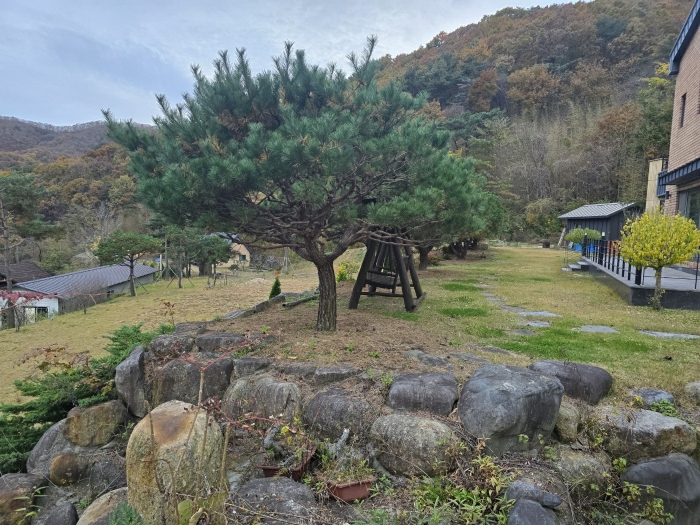 물건 사진 31