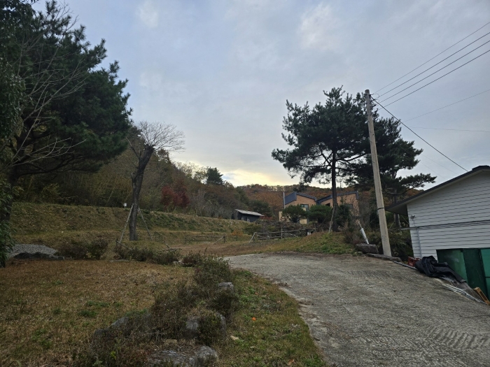 물건 사진 20