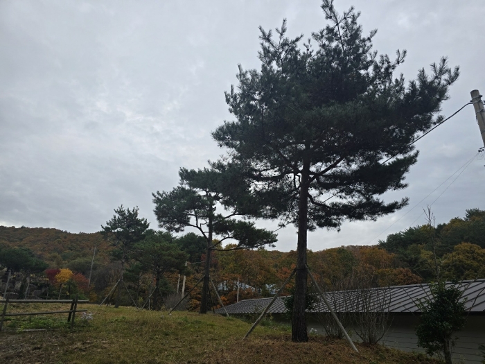 물건 사진 32