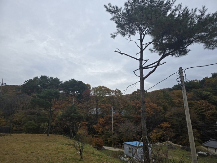 물건 사진 47