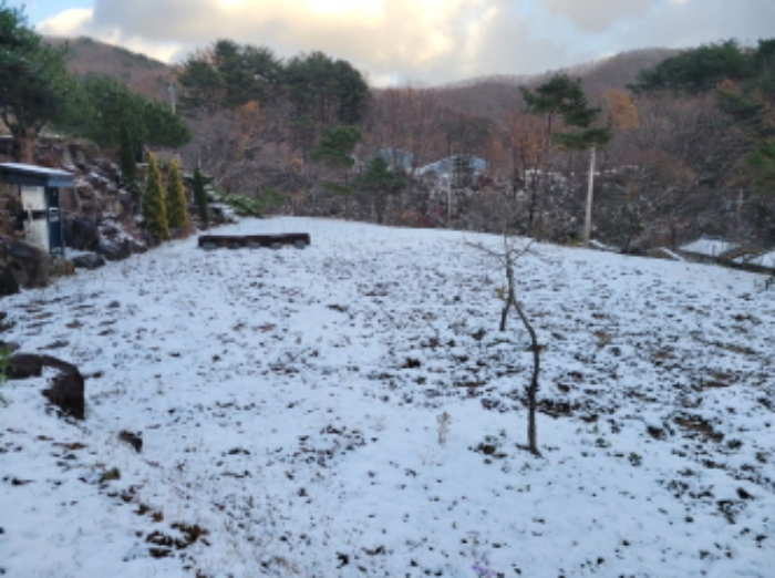 물건 사진 8