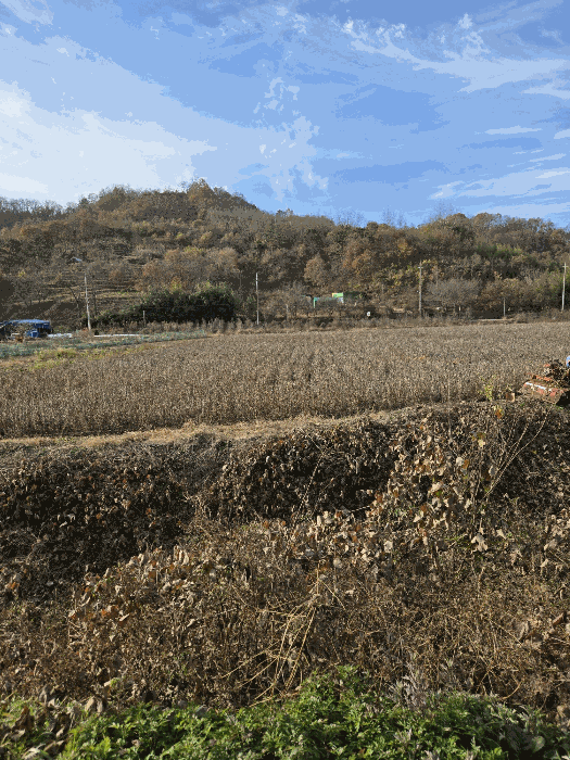 물건 사진 25