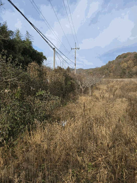 물건 사진 31