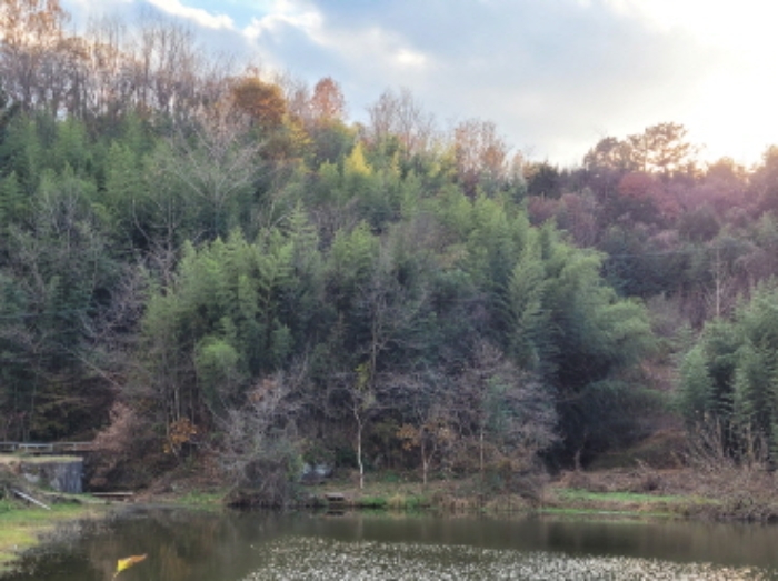 물건 사진 8