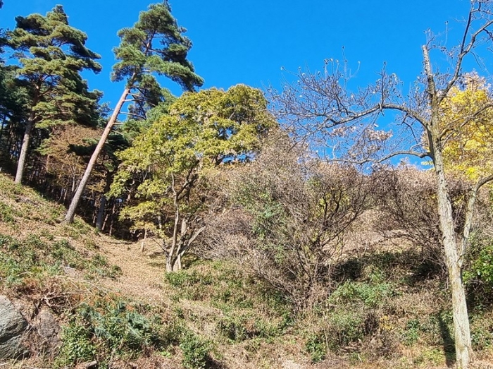 물건 사진 109