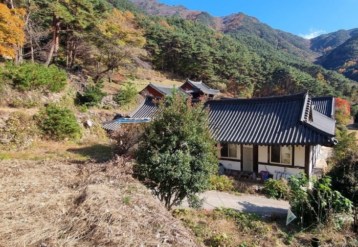 물건 사진 111