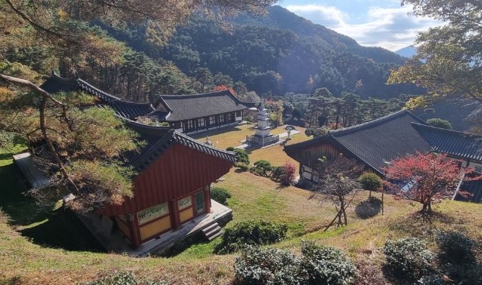 물건 사진 112