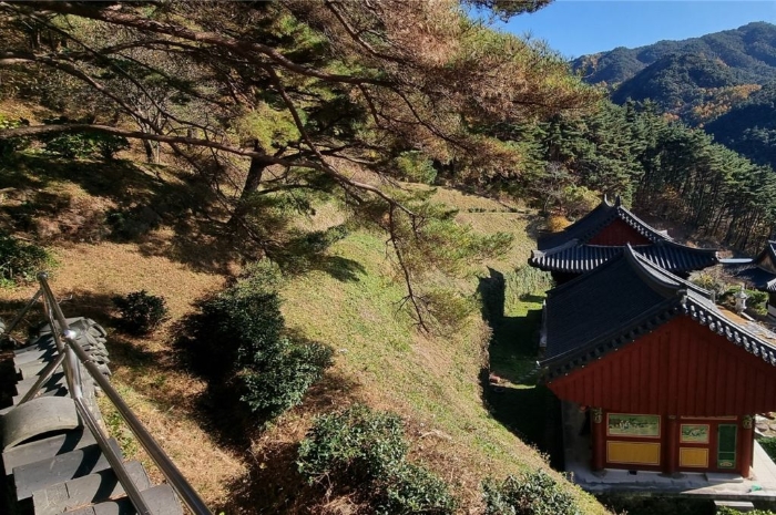 물건 사진 113