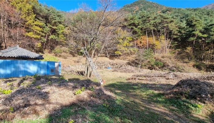 물건 사진 114