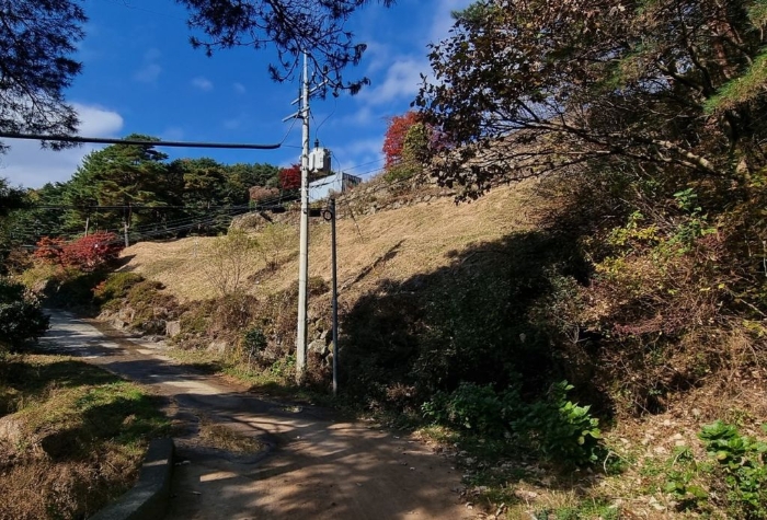 물건 사진 115