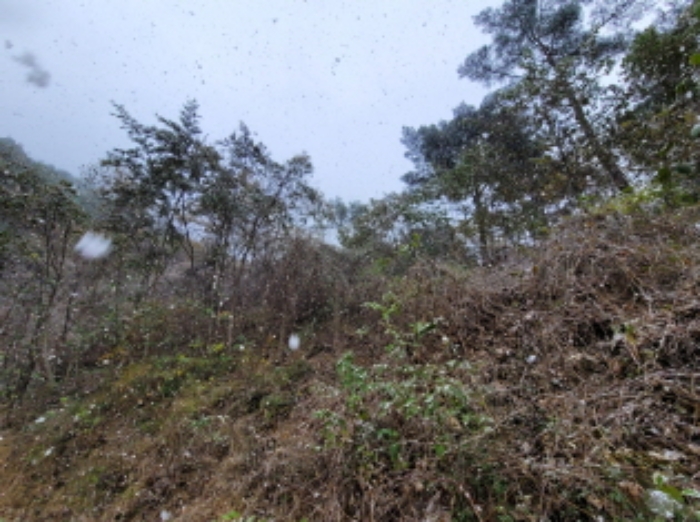 물건 사진 18