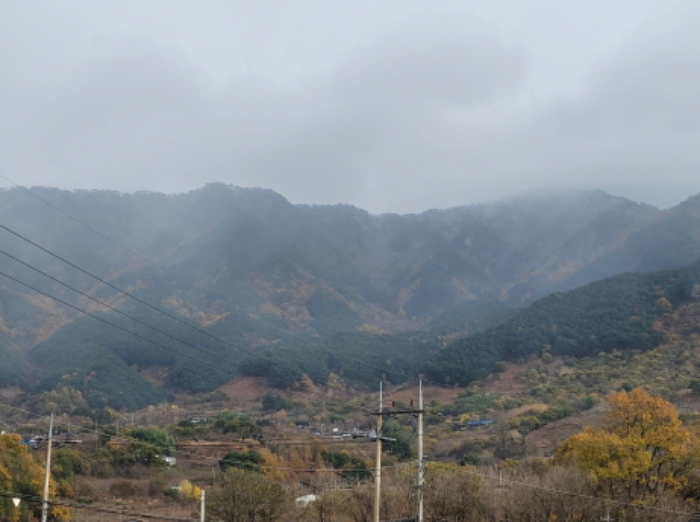 물건 사진 19