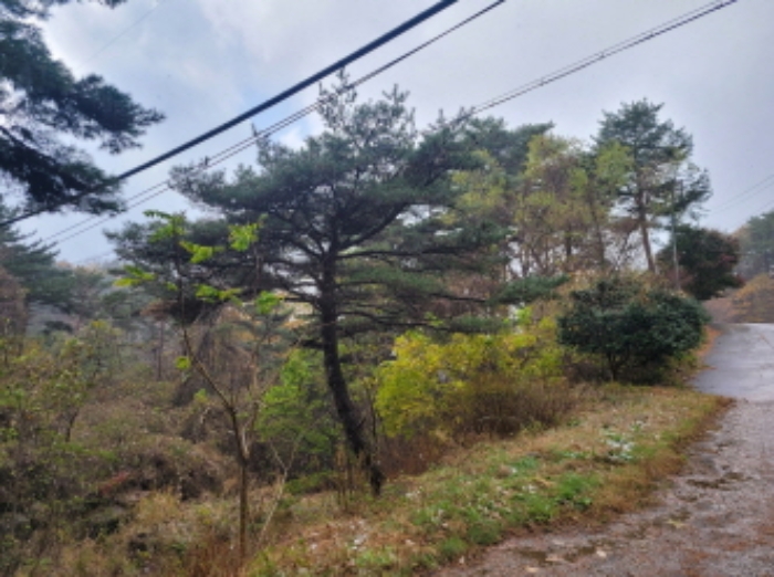 물건 사진 32