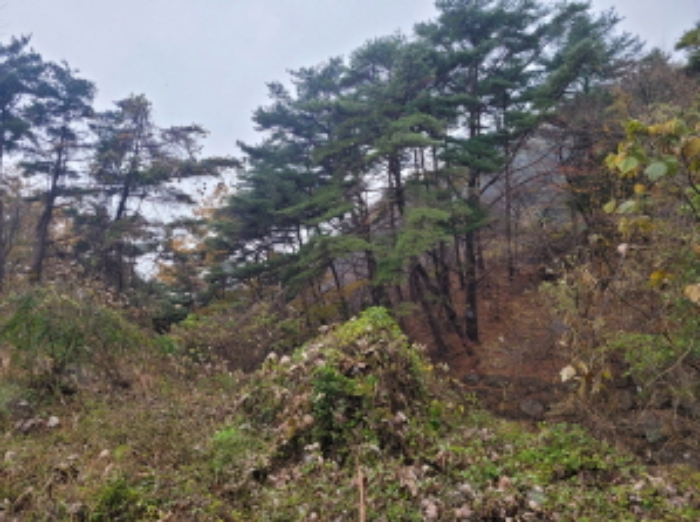 물건 사진 33