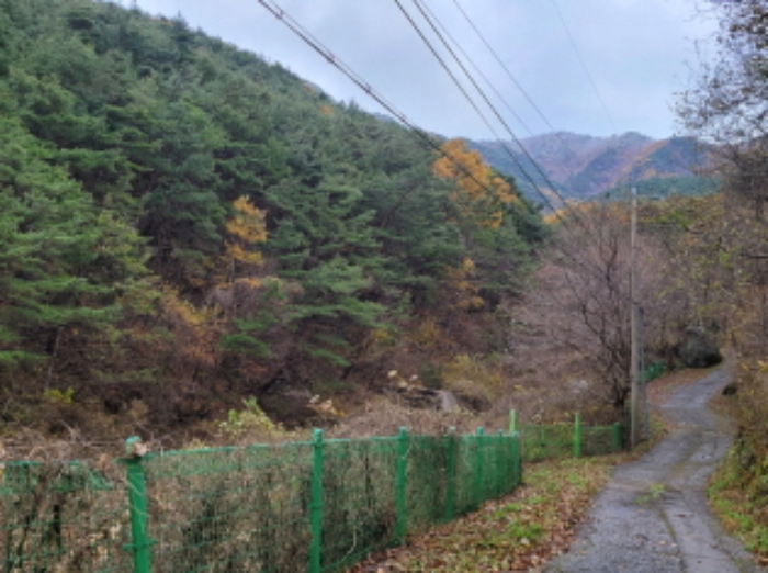 물건 사진 36