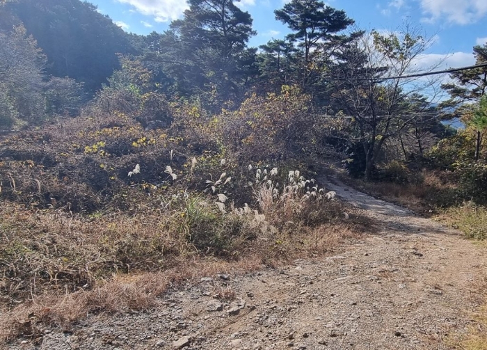 물건 사진 56