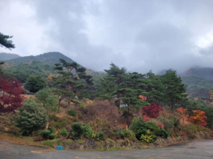 물건 사진 7