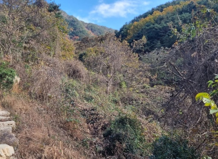 물건 사진 61