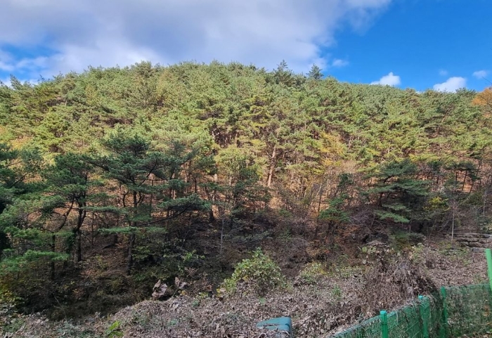 물건 사진 63