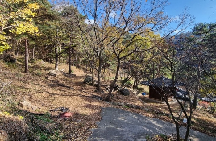 물건 사진 66