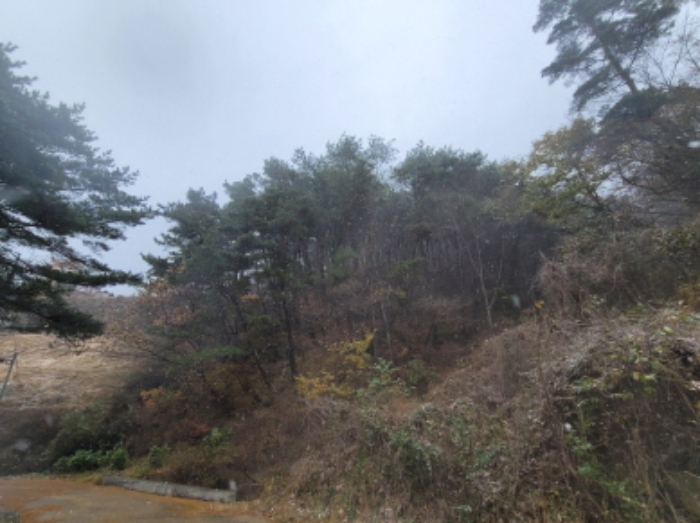 물건 사진 10