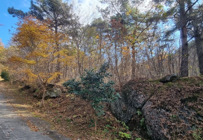 물건 사진 94