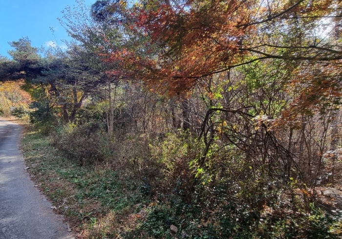 물건 사진 95