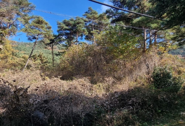 물건 사진 97