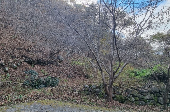 물건 사진 99