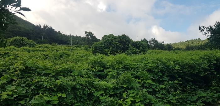 물건 사진 14