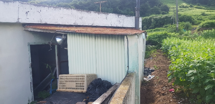 물건 사진 18