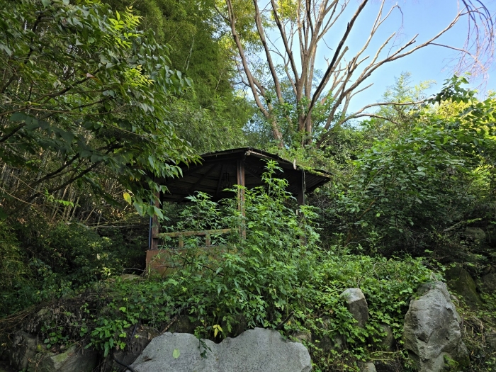 물건 사진 106