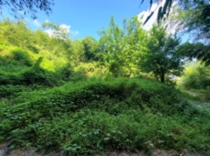 물건 사진 11