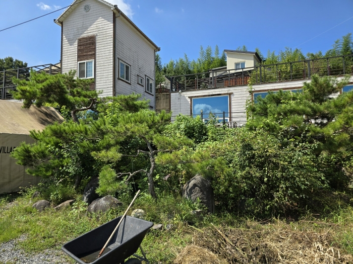물건 사진 100