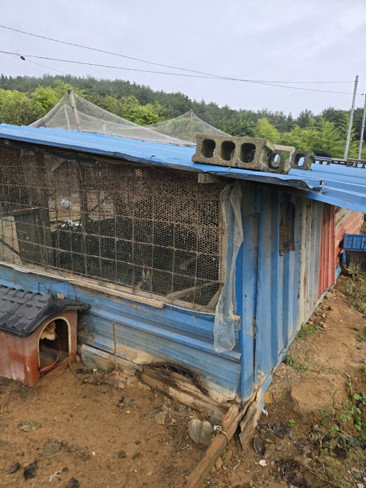 물건 사진 20