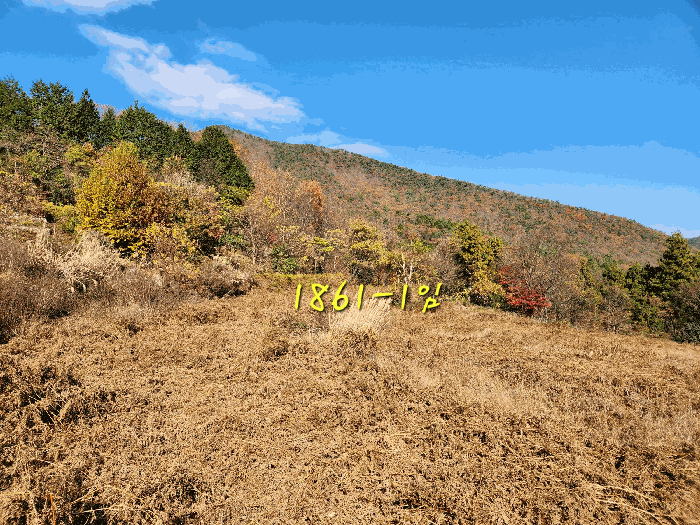물건 사진 40
