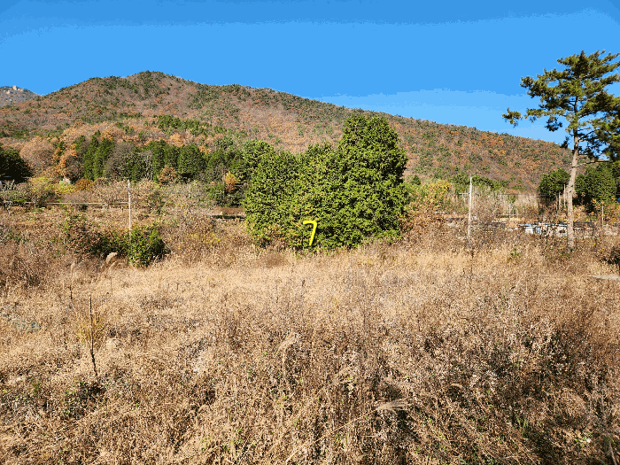 물건 사진 43