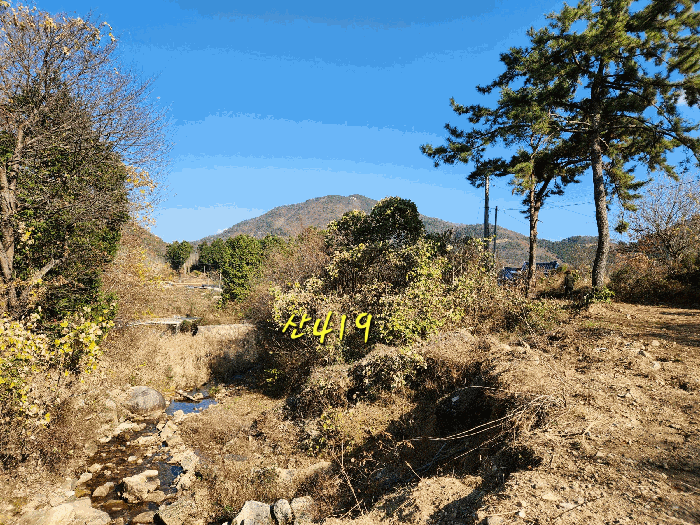 물건 사진 44