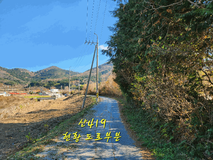물건 사진 60