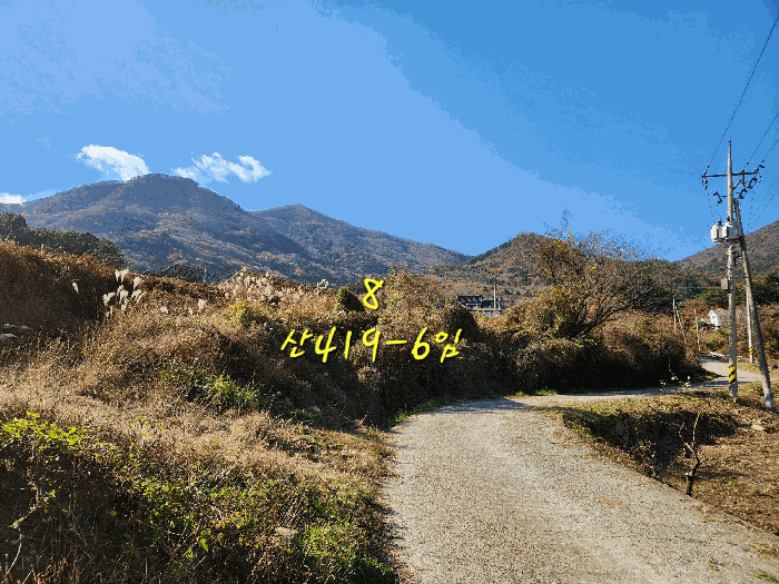 물건 사진 65